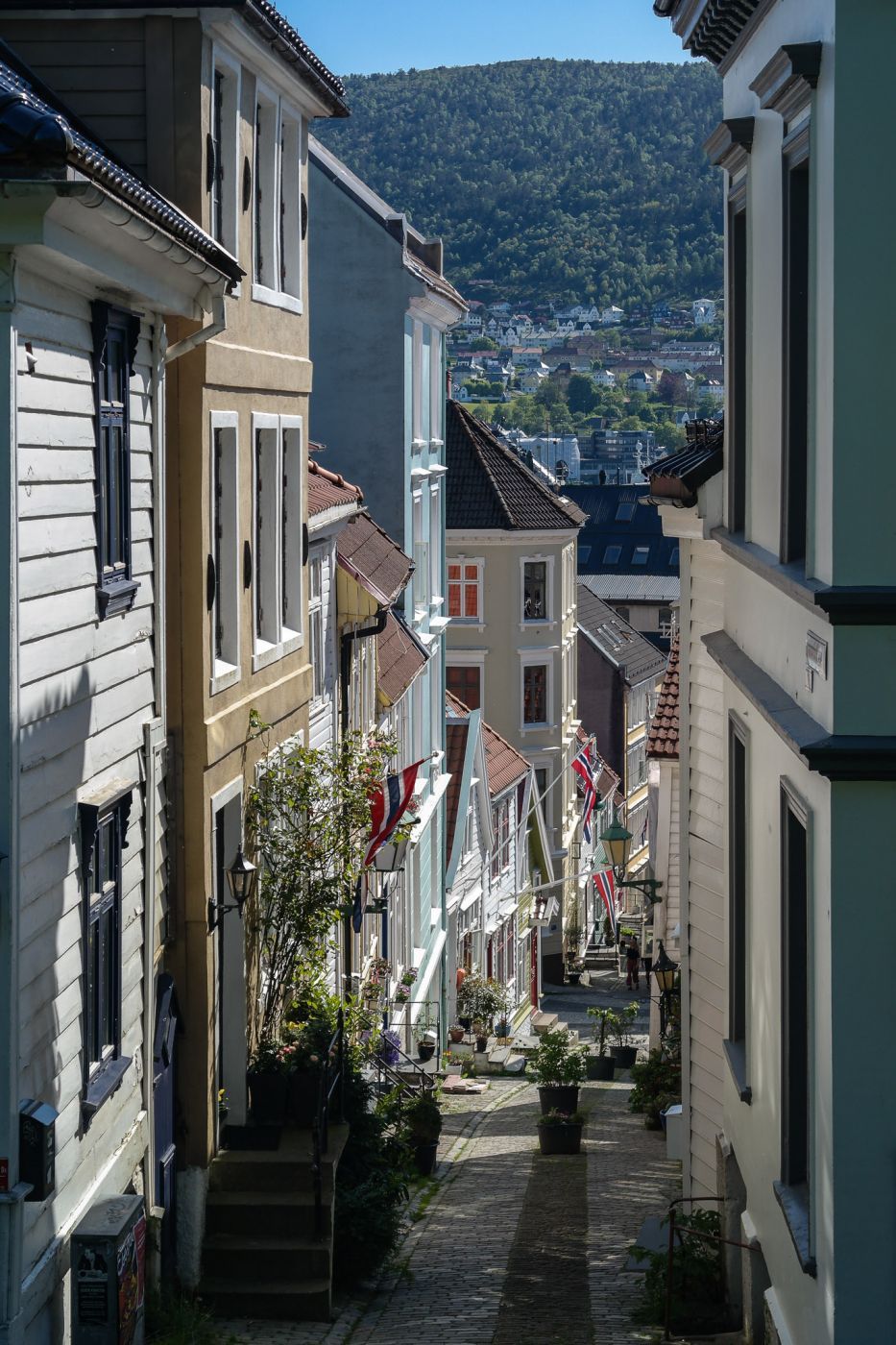 Typical Norwegian street, Norway