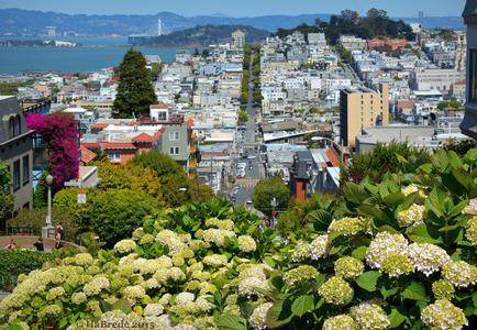 View over San Francisco Bay and Lombard Street