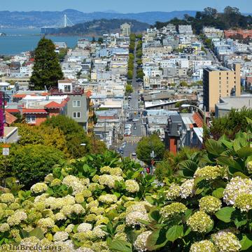 View over San Francisco Bay and Lombard Street, USA