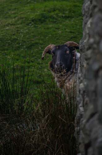 Achill island abandoned village