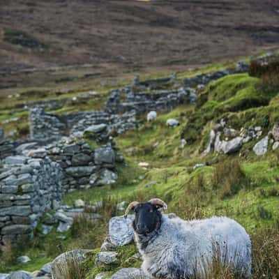 Achill island abandoned village, Ireland