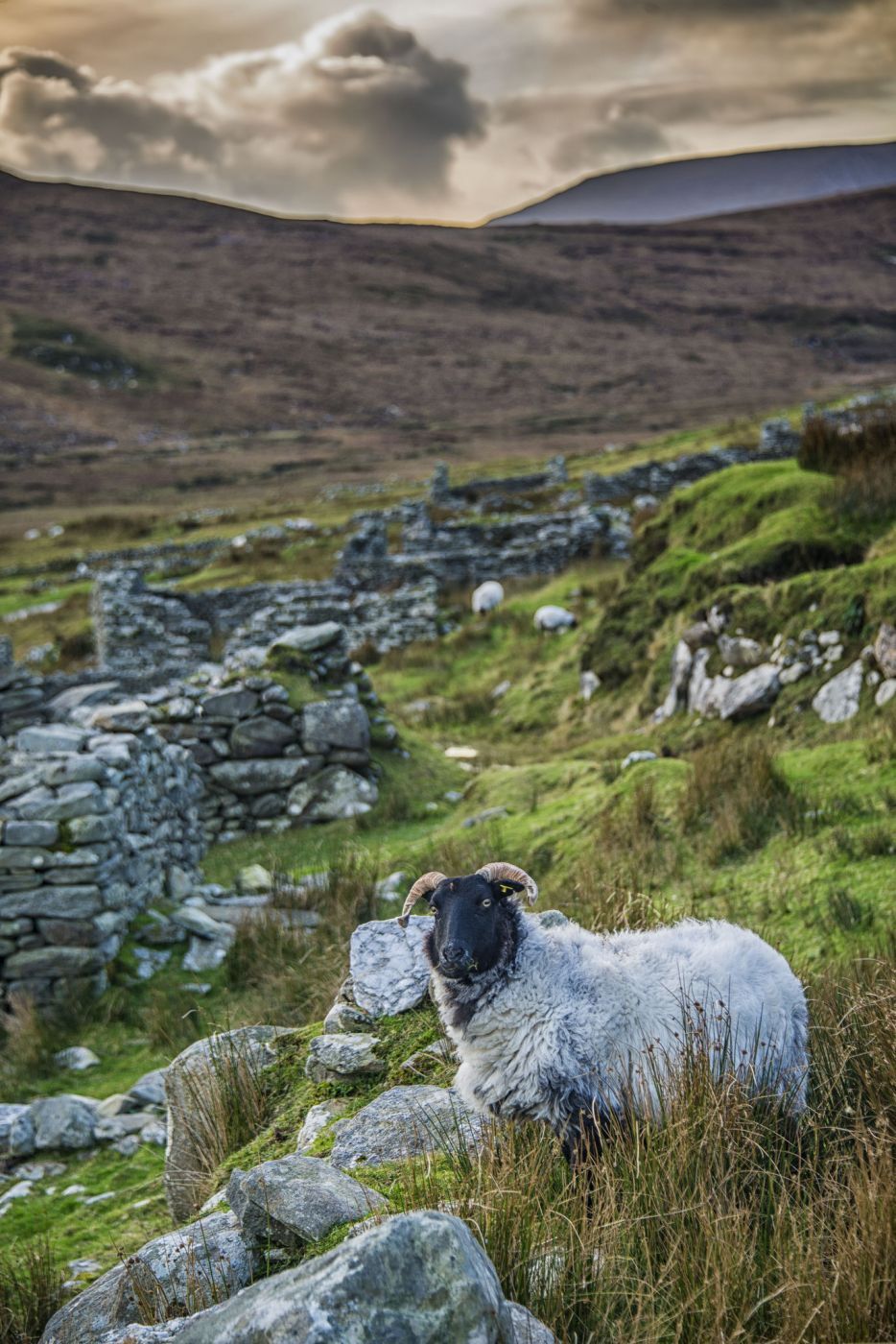 Achill island abandoned village, Ireland