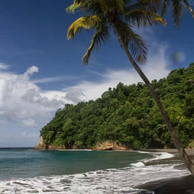 Anse Couleuvre, Martinique