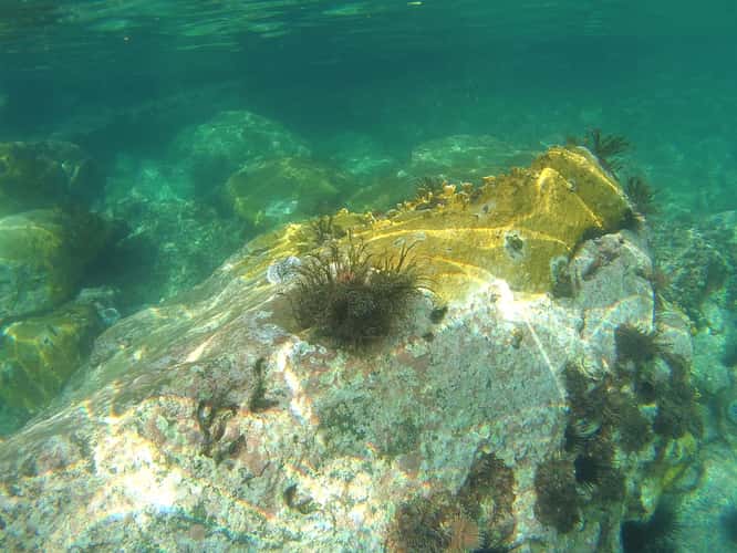 Anse Dufour