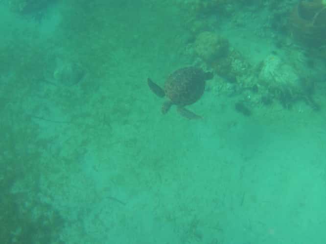 Anse Dufour