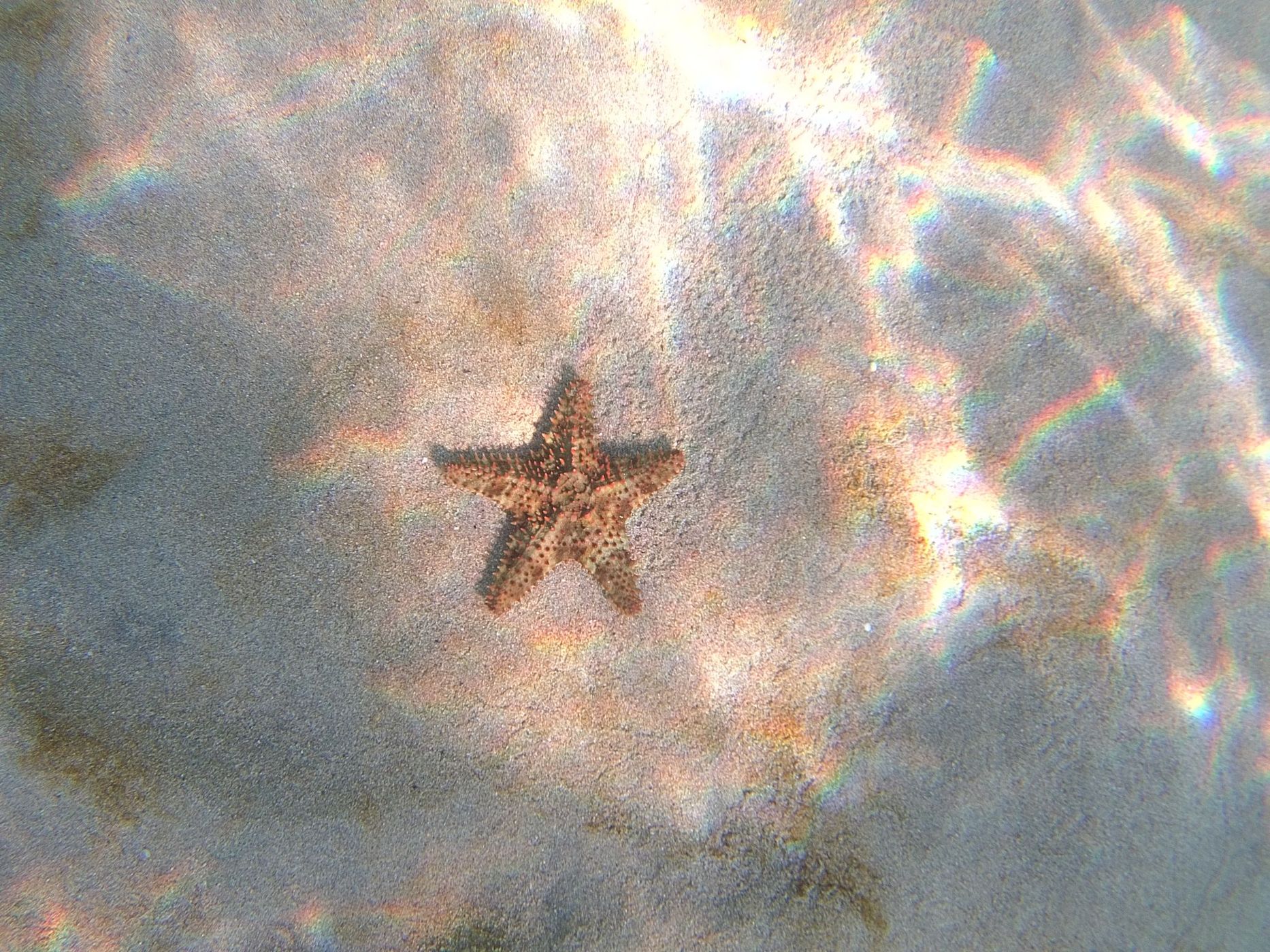 Anse Dufour, Martinique