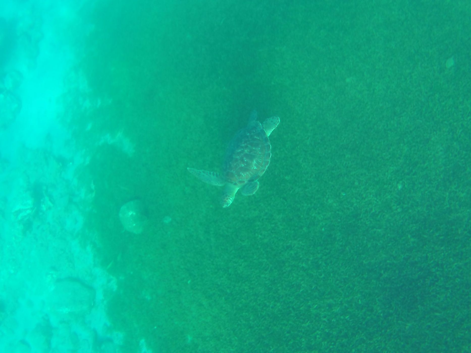 Anse Dufour, Martinique