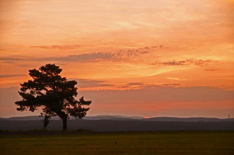 Blick tief in den Schwarzwald