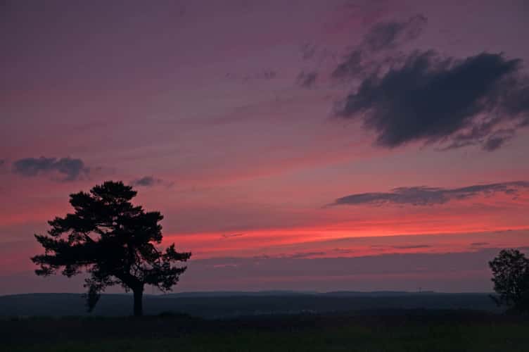 Blick tief in den Schwarzwald