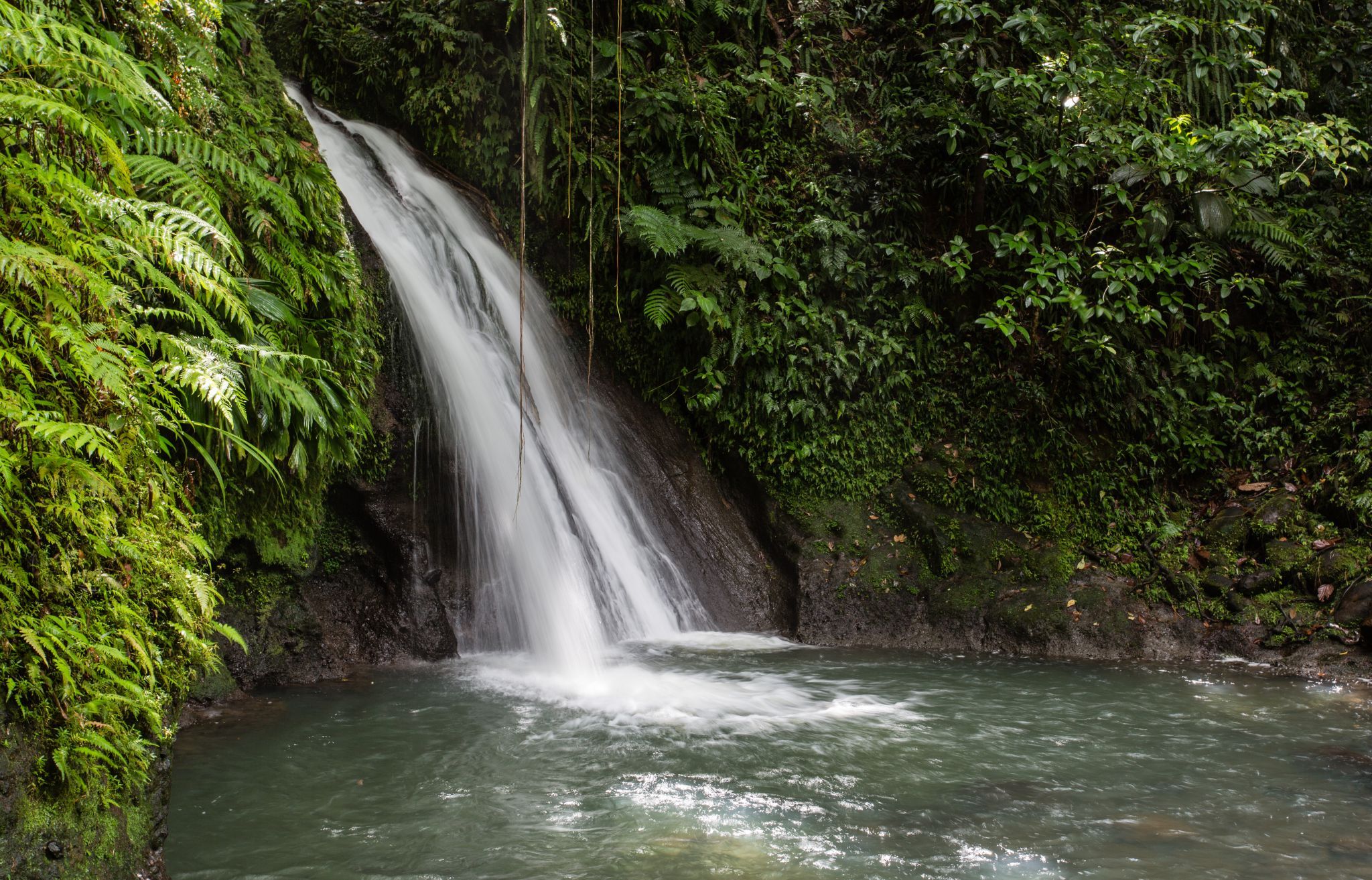 Cascade aux Ecrevisses, Guadeloupe
