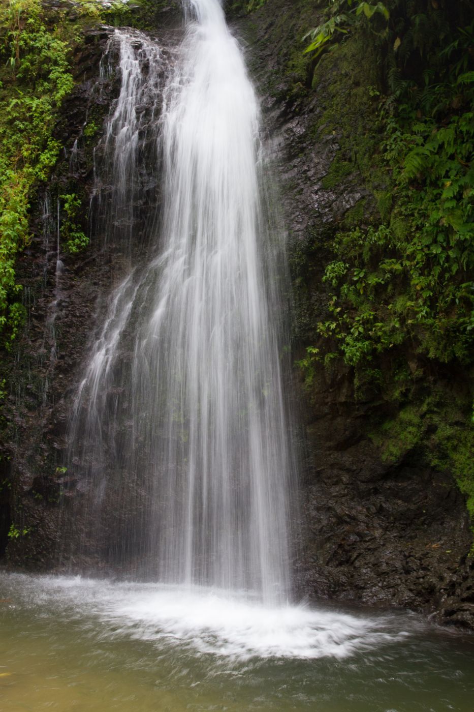 Cascade du Saut du Gendarme, Martinique