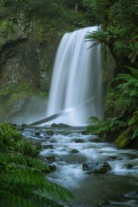 Hopetoun Falls, Beech Forest, Victoria