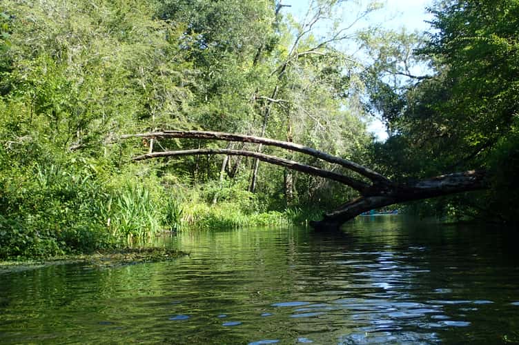 Ichetucnee State Park