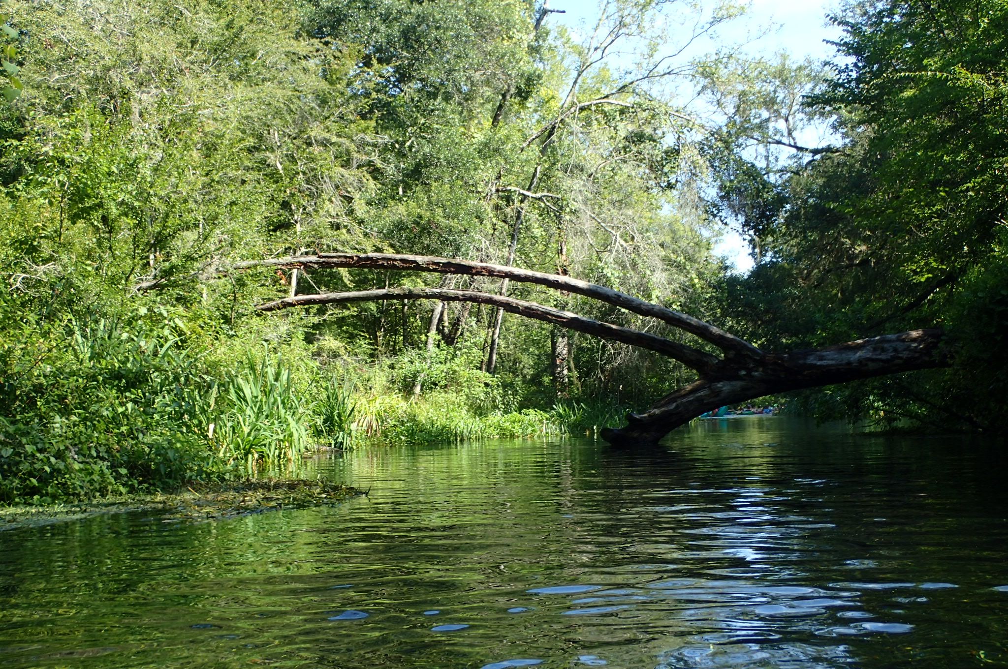 Ichetucnee State Park, USA