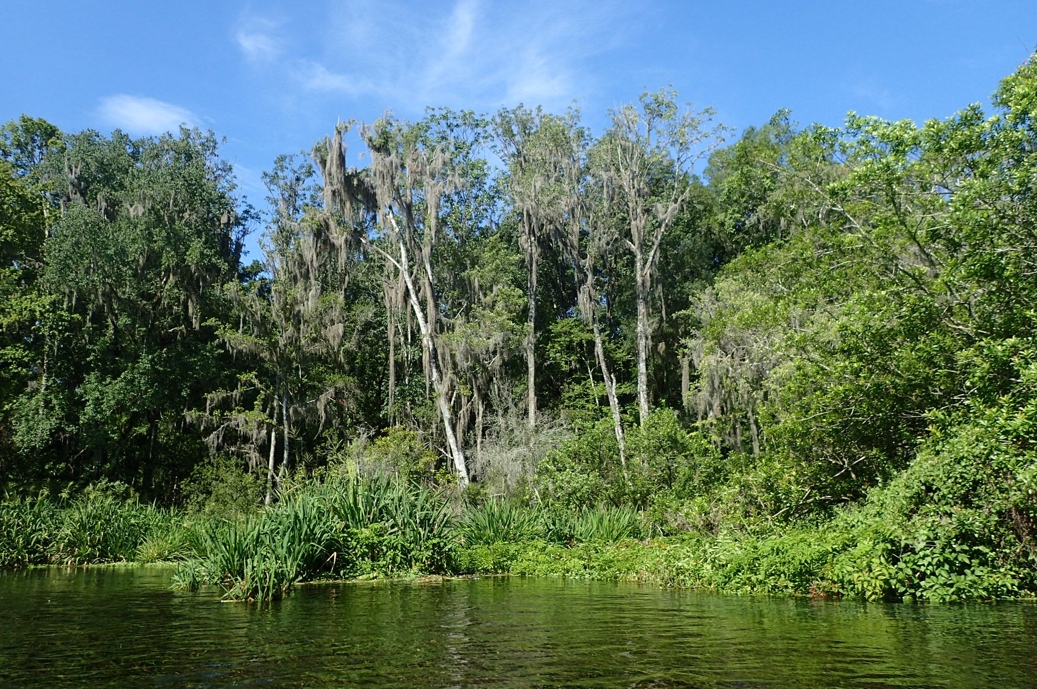 Ichetucnee State Park, USA
