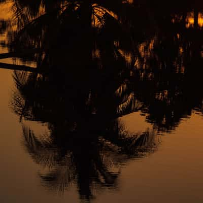 Laguna del Tesoro, Cuba