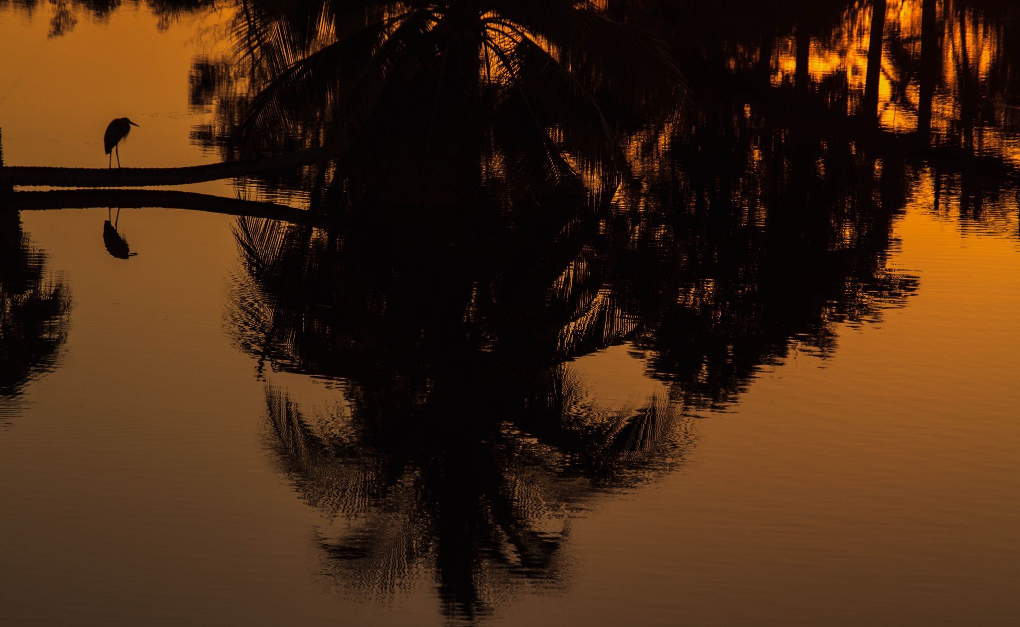 Laguna del Tesoro, Cuba