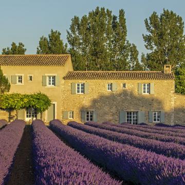Lavender Fields and the Stone Villa, France