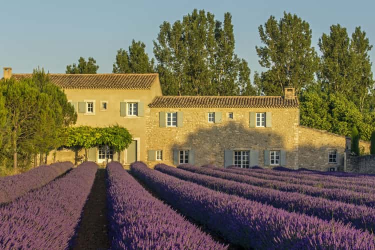 Lavender Fields and the Stone Villa