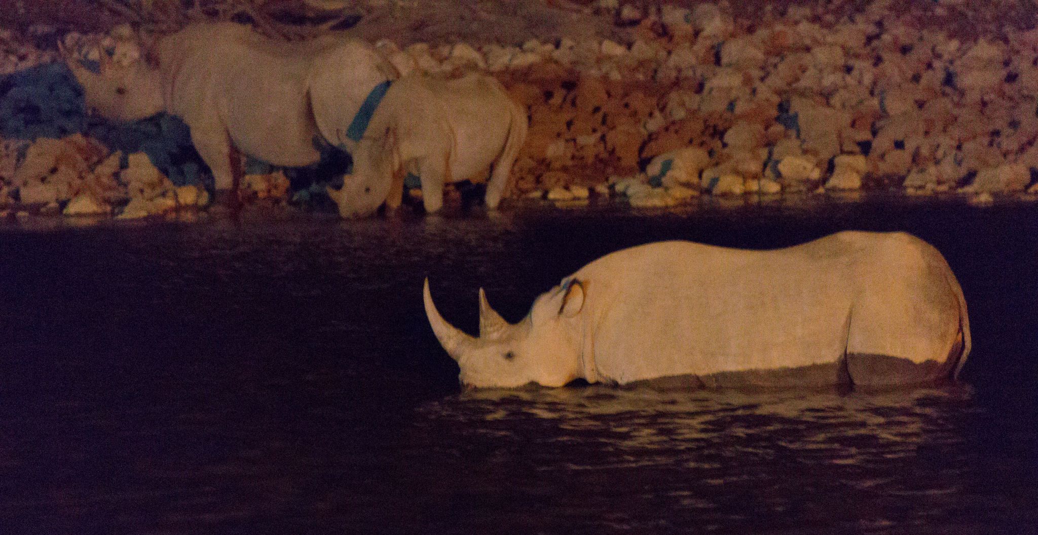 Night at Okaukuejo Waterhole, Namibia