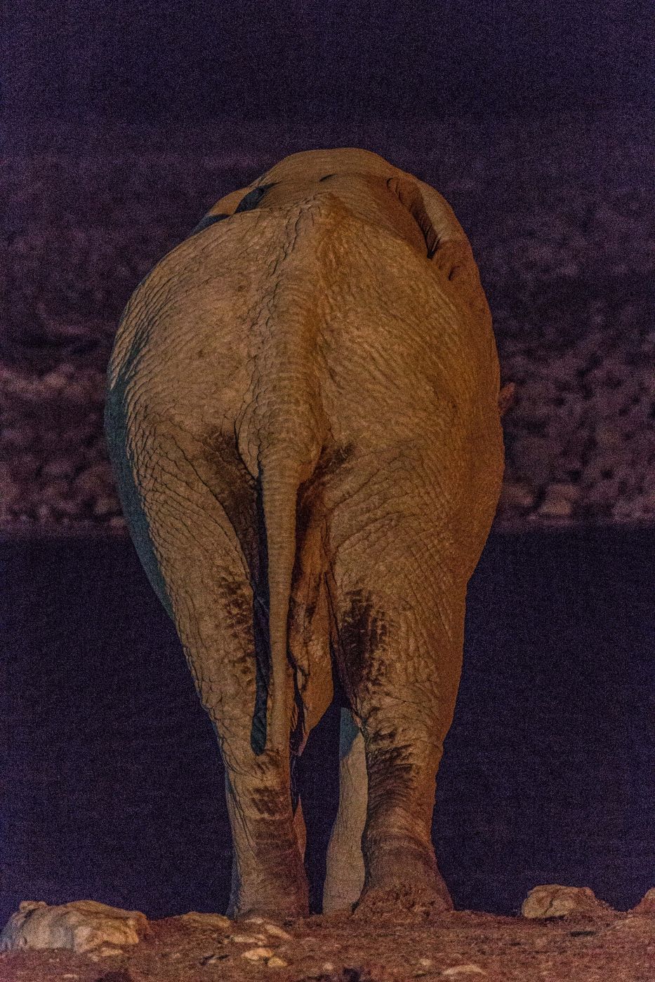 Night at Okaukuejo Waterhole, Namibia