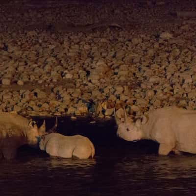 Night at Okaukuejo Waterhole, Namibia