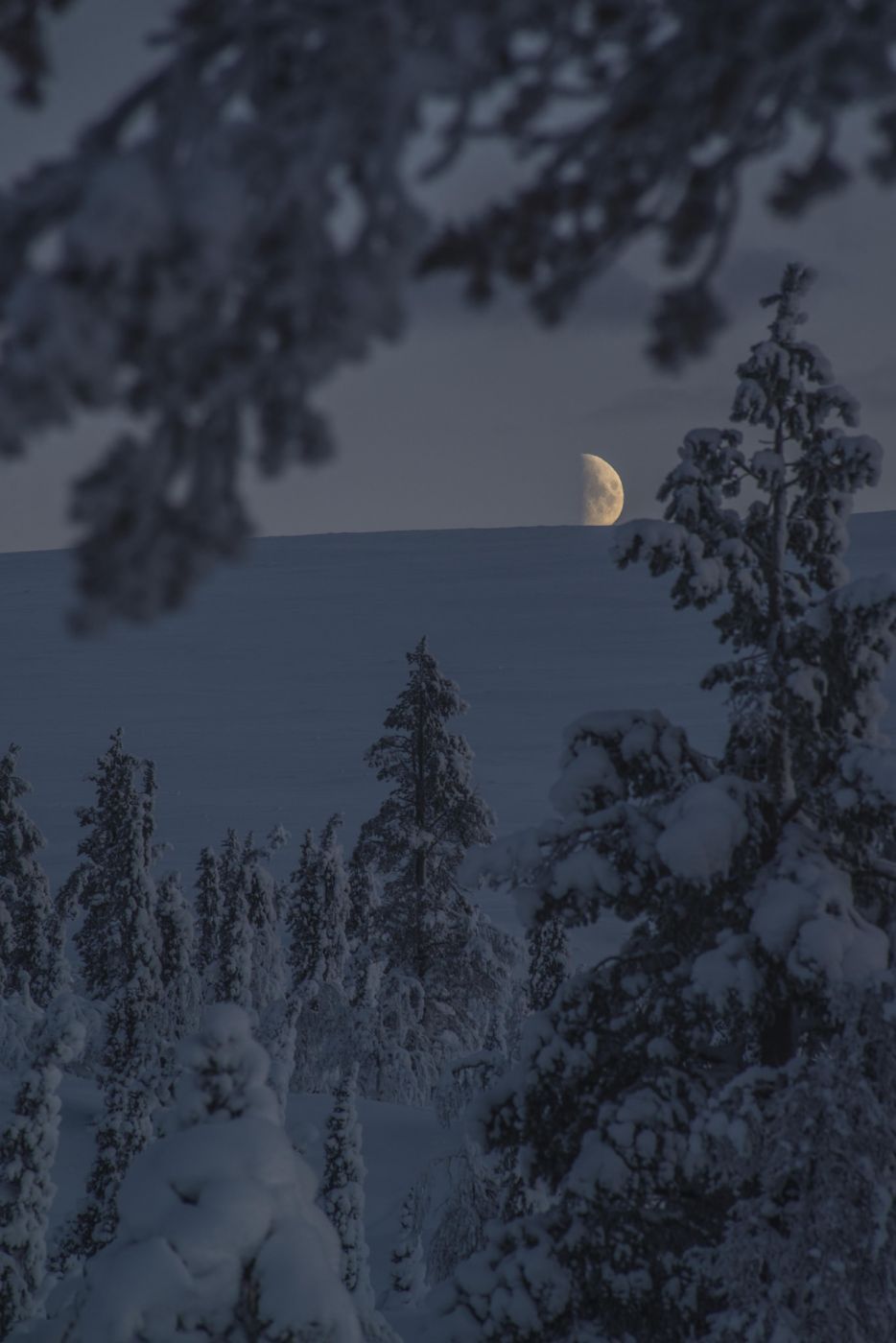 Pallas midday, Finland