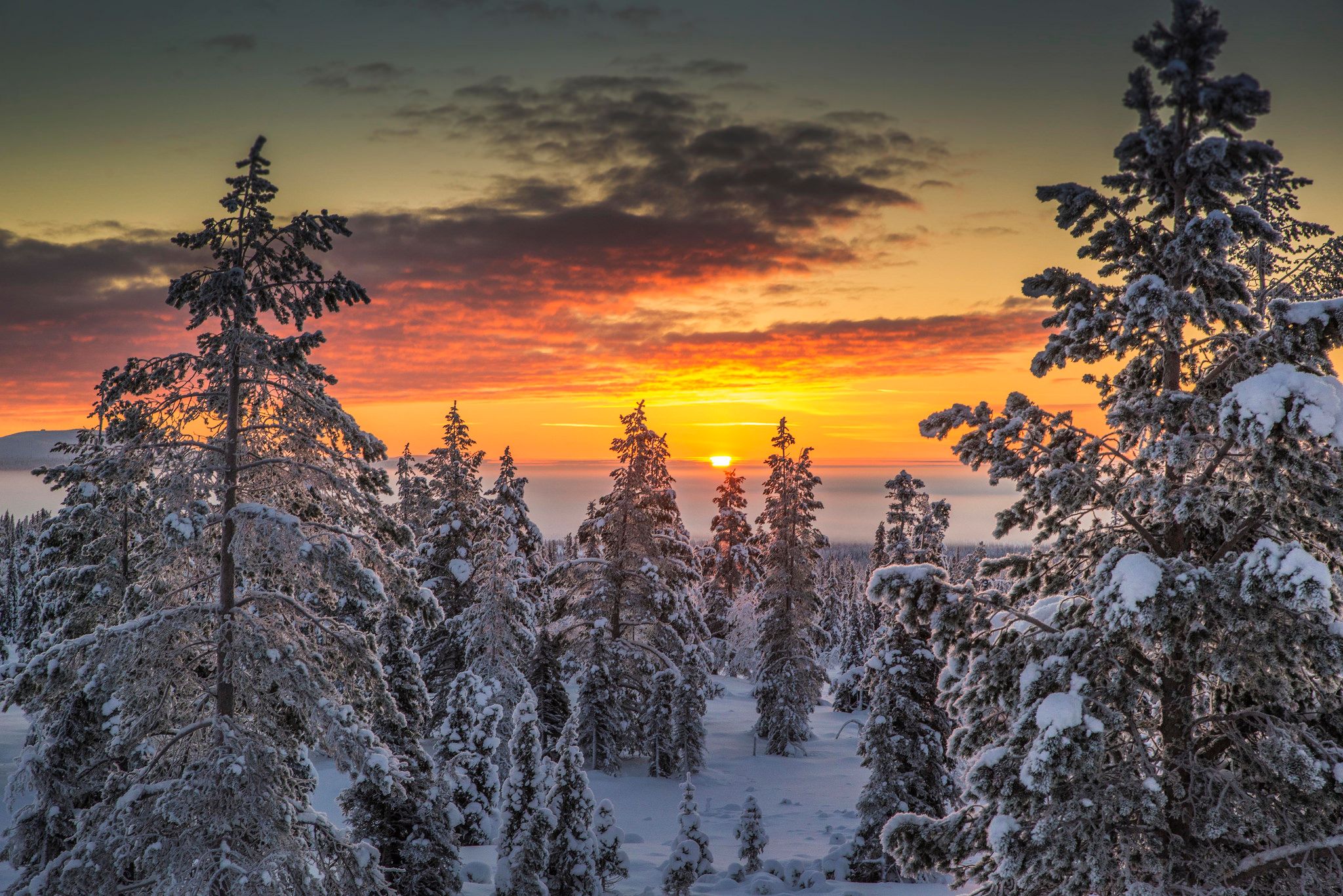 Pallas midday, Finland
