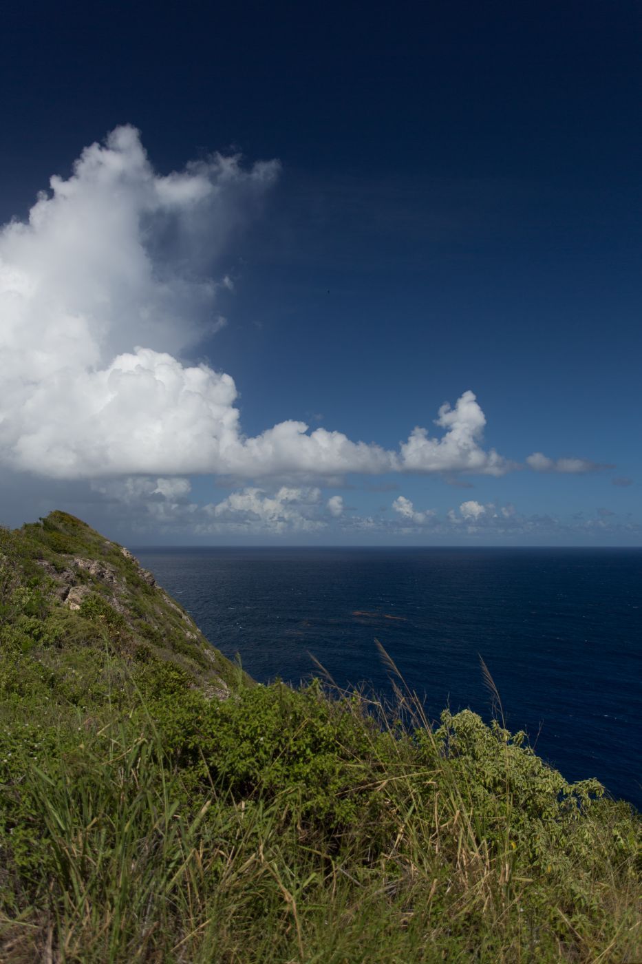 Pointe de la Grande Vigie, Guadeloupe