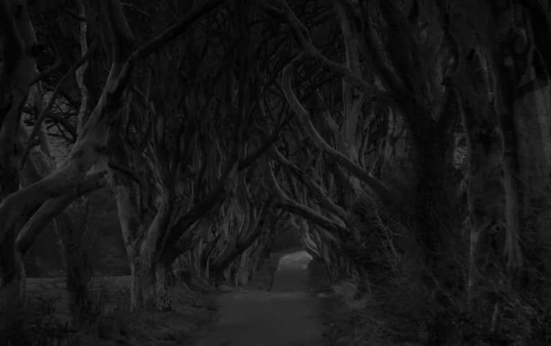 The Dark Hedges (Road)