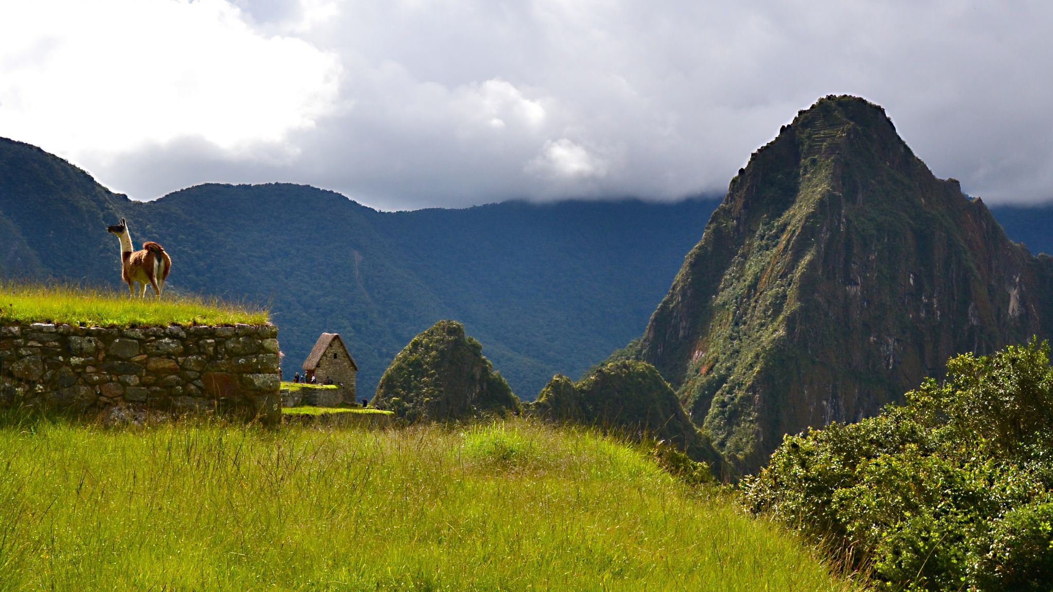 The king of Machu Picchu, Peru