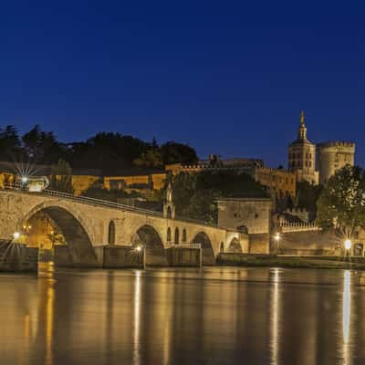 The  Palais des Papes, France