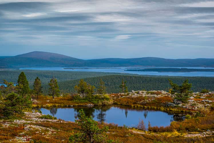 View from Särkitunturi