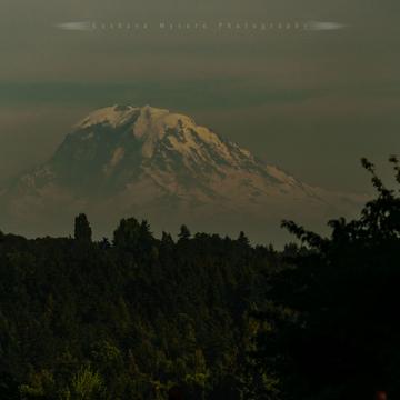 Rainier vista from Uni. of Washington, Seattle, USA