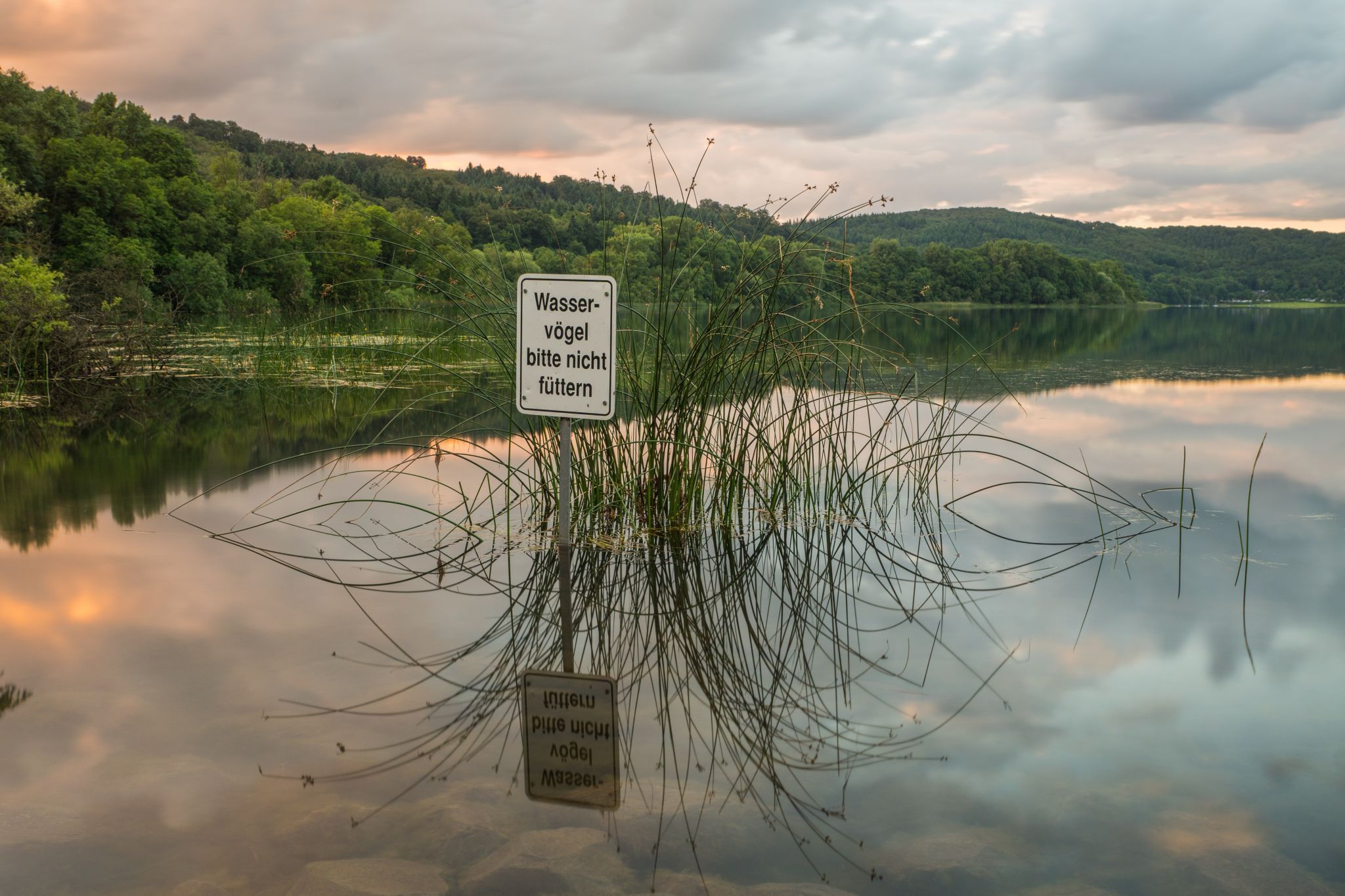 View over the 'Laacher-See', Germany