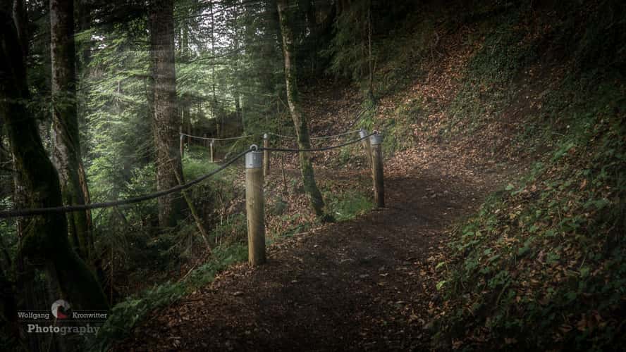way to the light