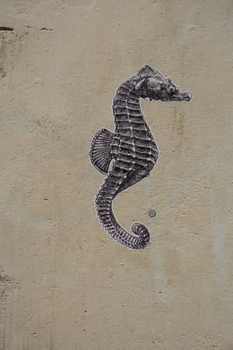 Avigon streets