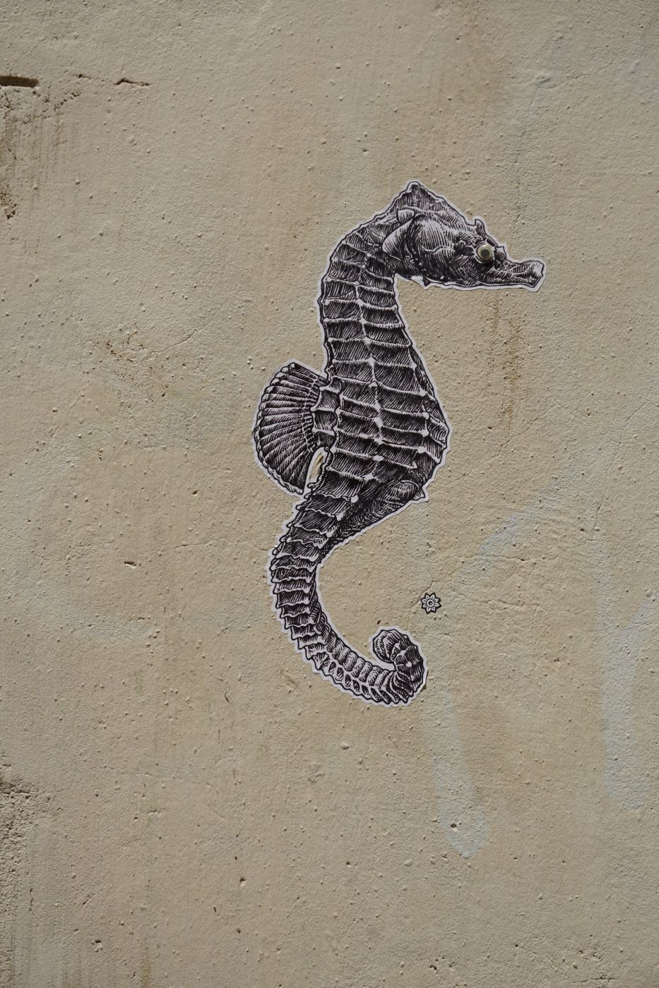 Avigon streets, France