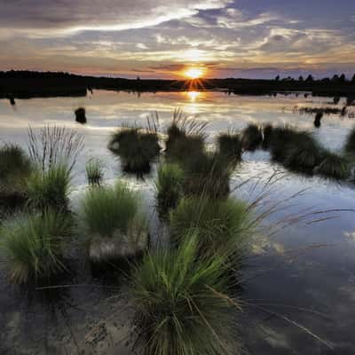 Brackvenn sunset, Belgium