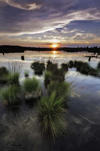 Brackvenn sunset