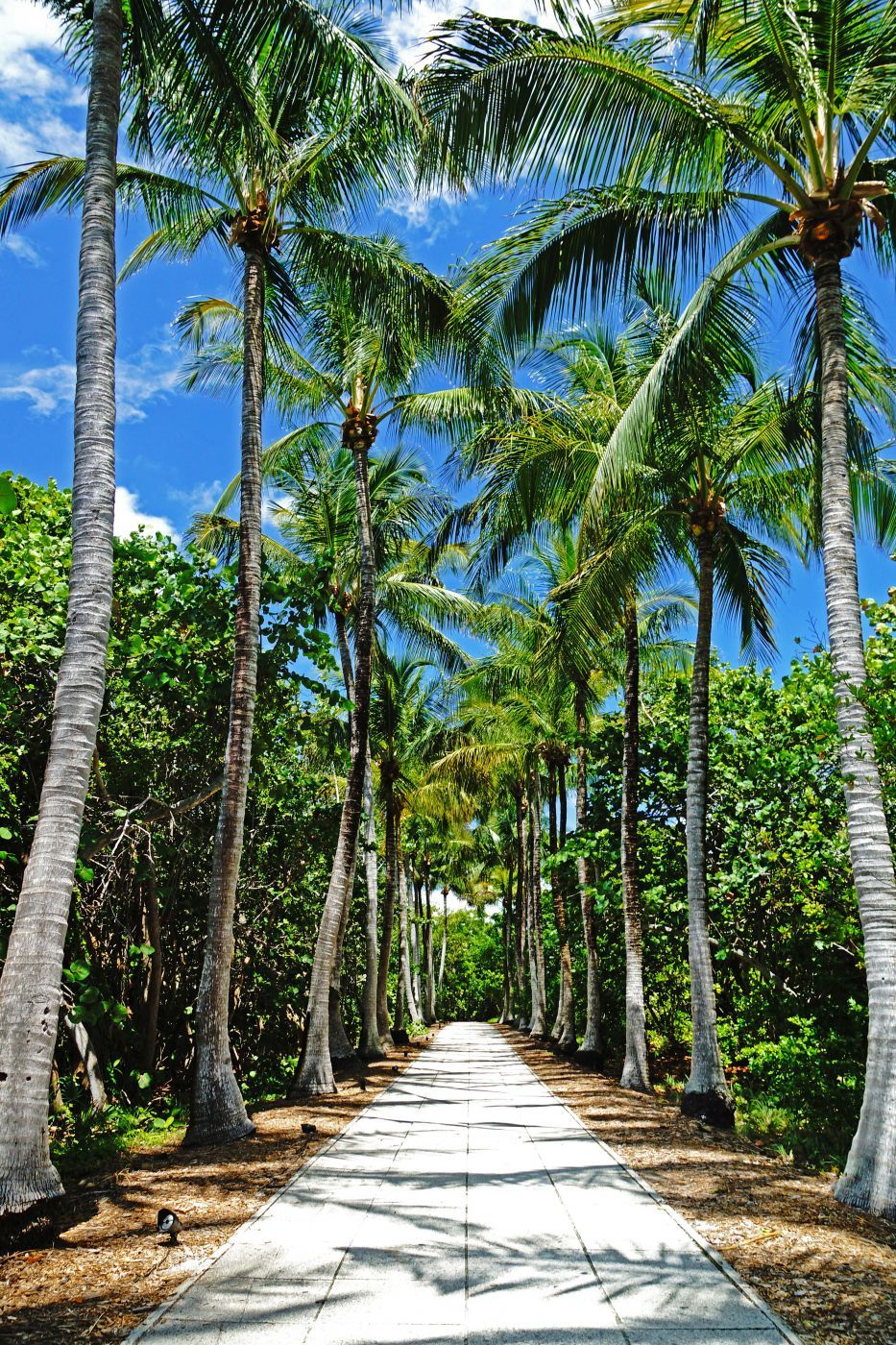 Cape Florida Lighthouse, USA