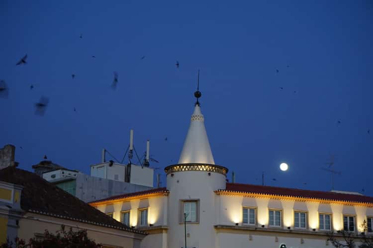 Faro city center