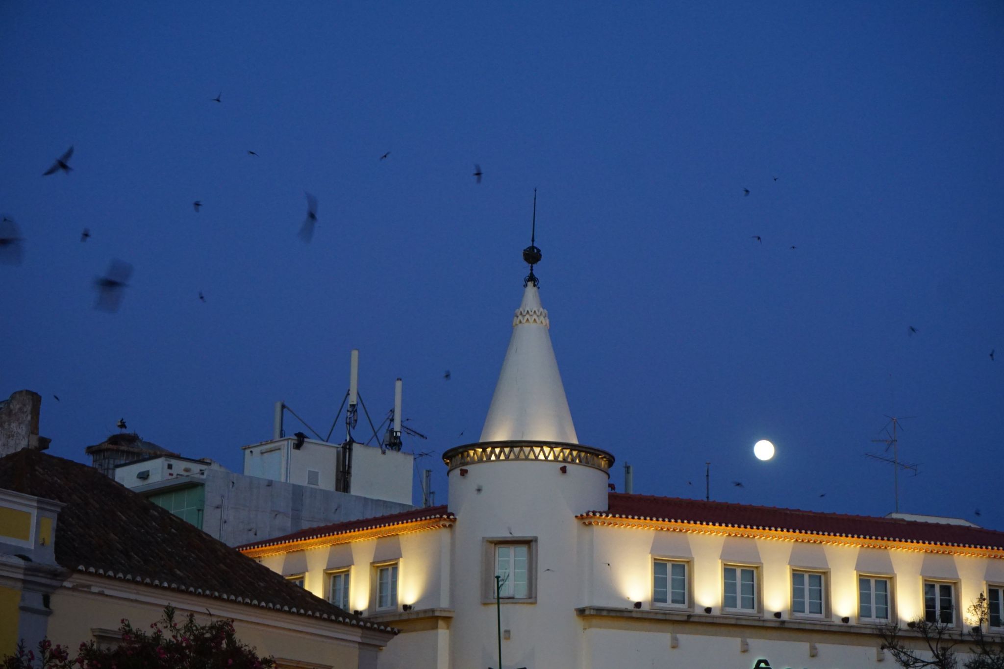 Faro city center, Portugal