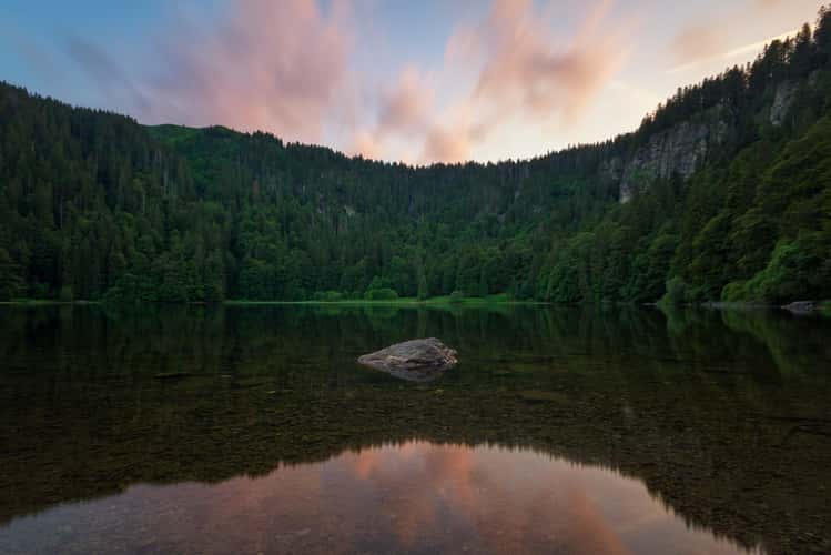 Feldsee, Black Forest