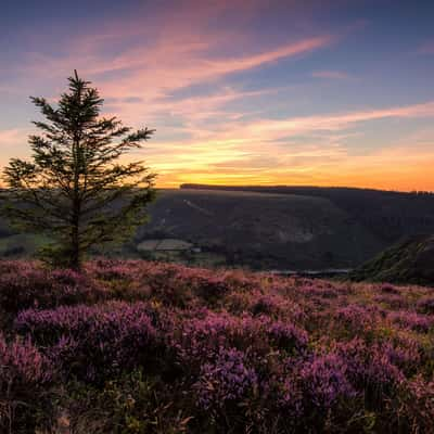 Garreg Ddu Reservoir from the cliffs above, United Kingdom