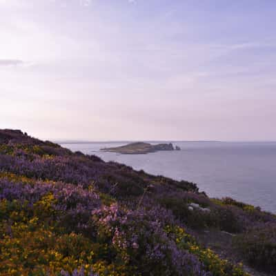 Howth's Cliff Walk, Ireland