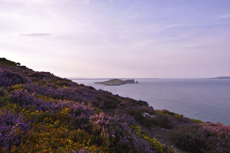 Howth's Cliff Walk