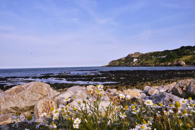 Howth's Shore