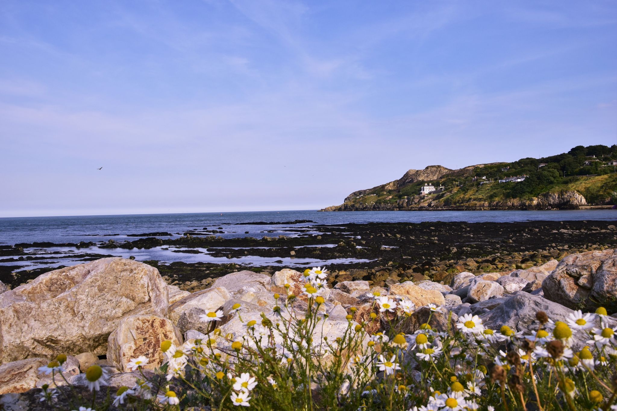 Howth's Shore, Ireland