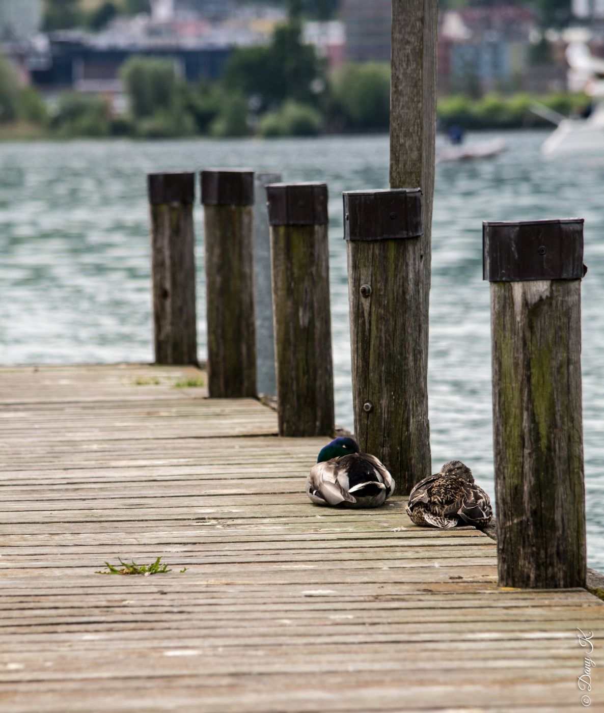 Insel Ufenau, Switzerland